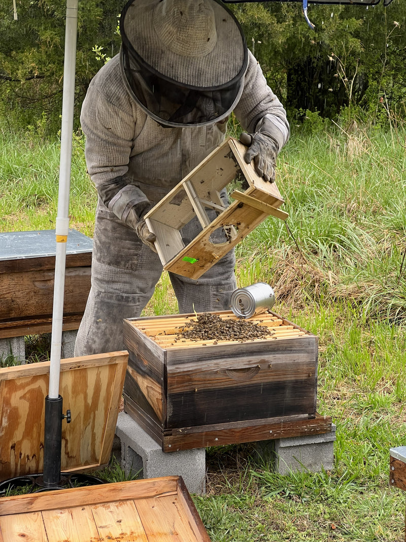 Setting up Hives