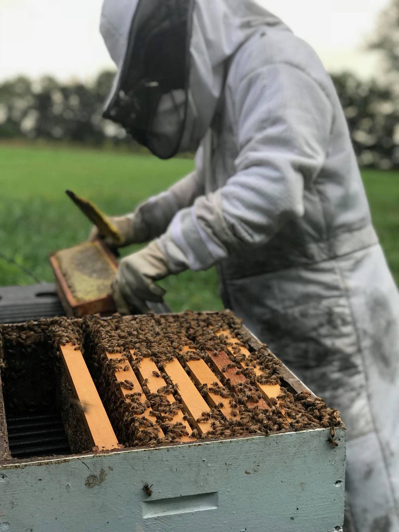 Hands of Beekeeping
