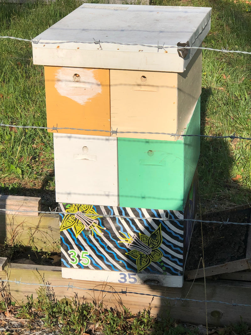 Florida Hives