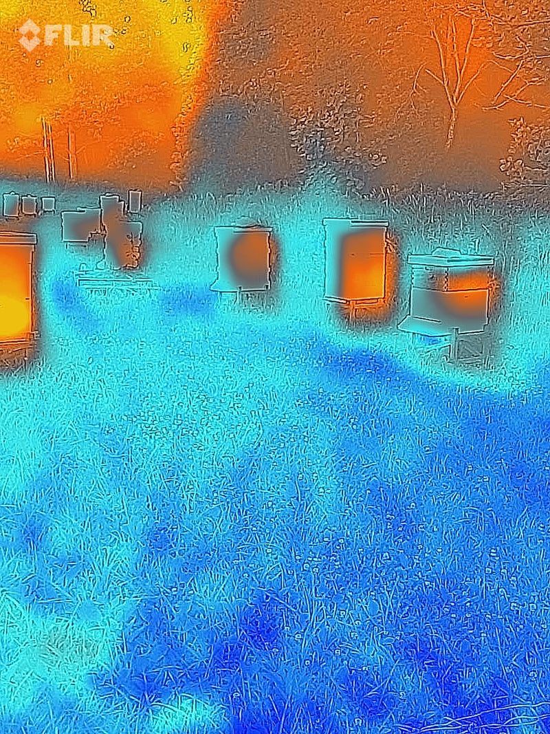 FLIR Camera