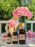 Case of Elderberry Syrup