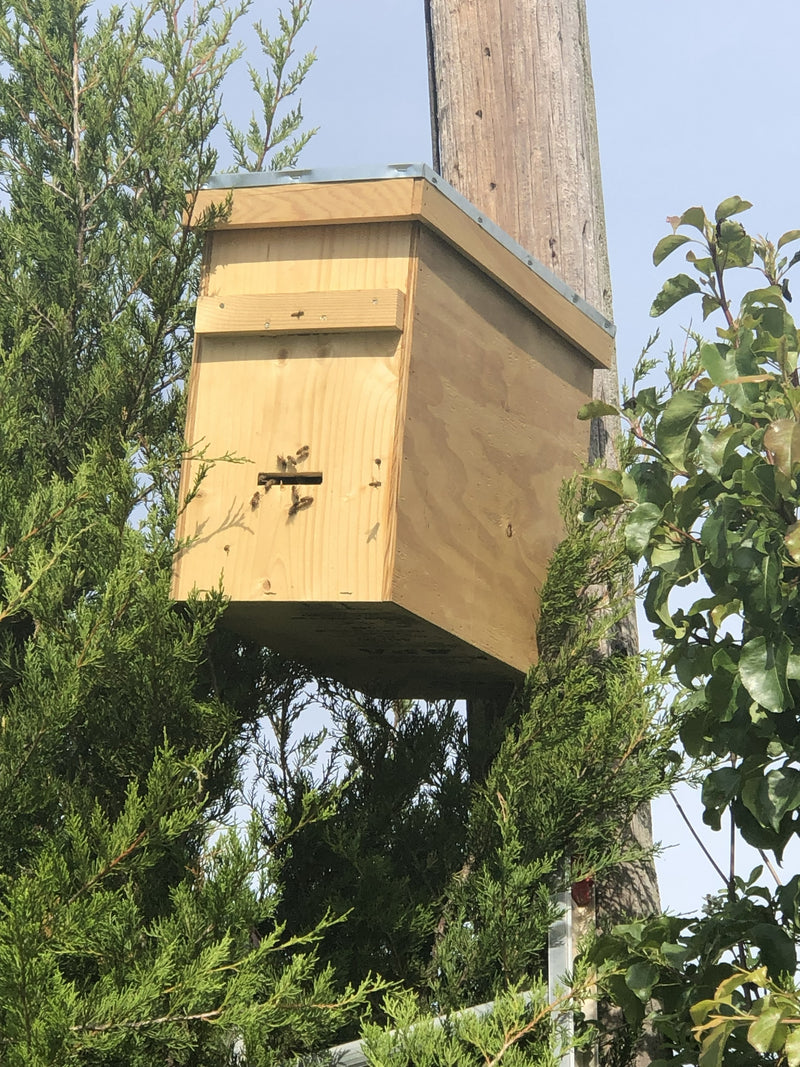 Catching a Swarm