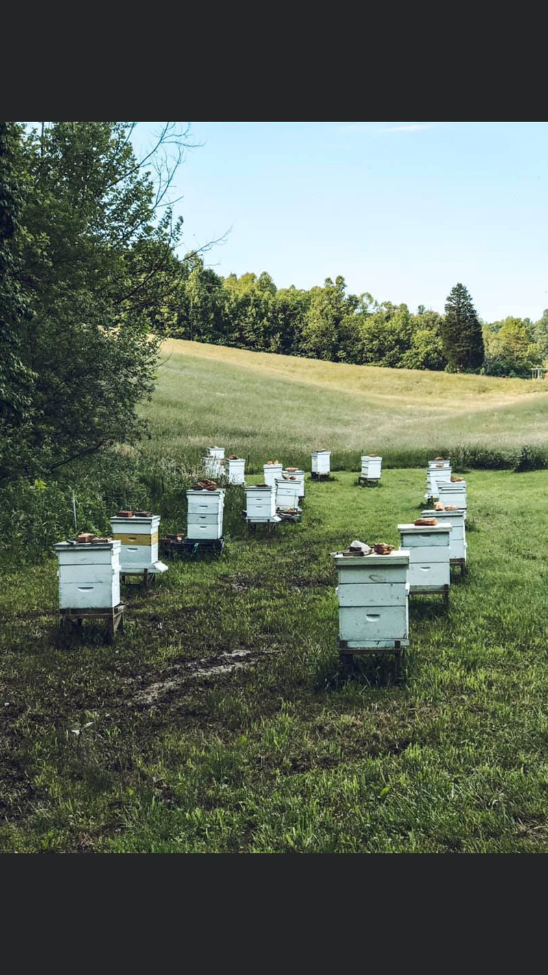 Virginia Hives