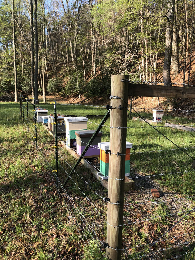 West Virginia Hives